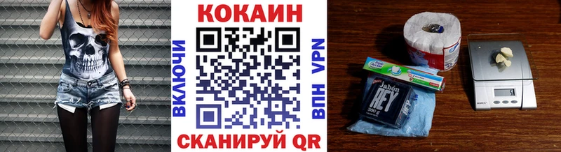 Купить закладки  Камышлов  Cocaine FishScale 