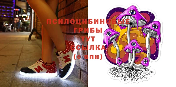 амф Заволжск