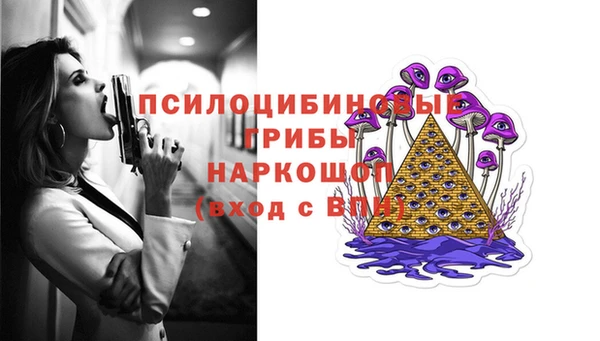 спайс Дмитров