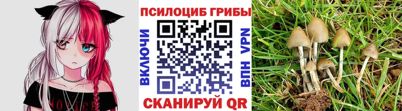 Псилоцибиновые грибы прущие грибы Купить Камышлов
